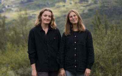 I ”Never Ending Stories” får fasadplåten berätta sin historia